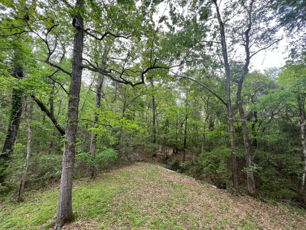 2 Bdrm Treehouse Hideout- Lake Conroe With Boat Ramp Montgomery Eksteriør bilde